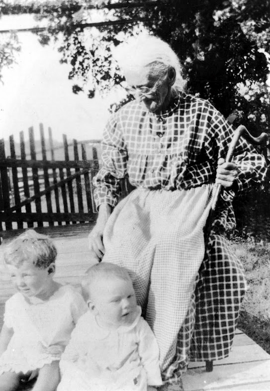 Eliza Jane Evans McClung.jpg