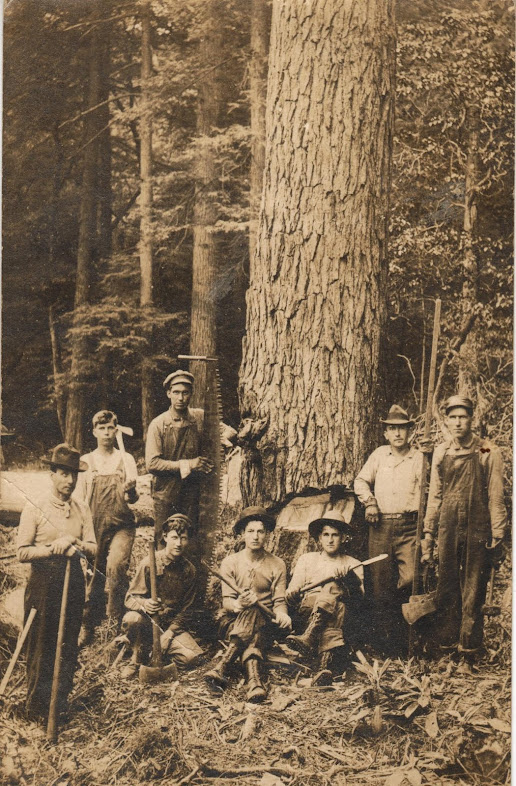 Wilderness Lumber Company Crew2.jpg