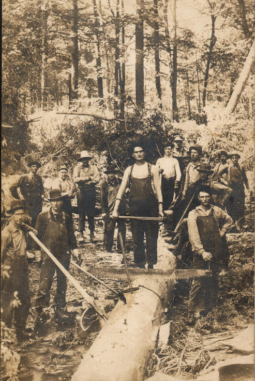Wilderness Lumber Company Crew3.jpg