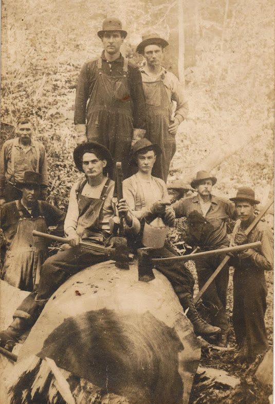 Wilderness Lumber Company Crew4.jpg