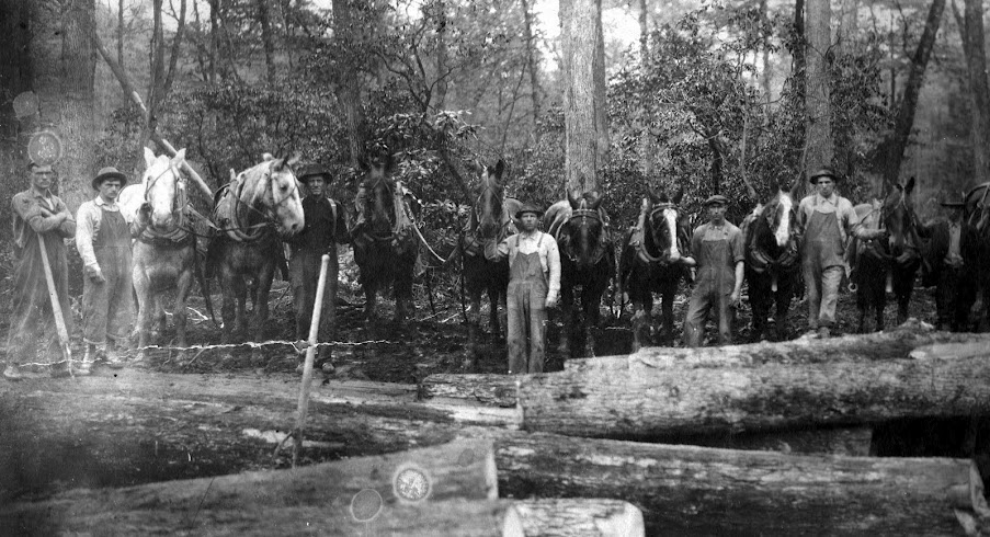 Wilderness Lumber Company Export.jpg