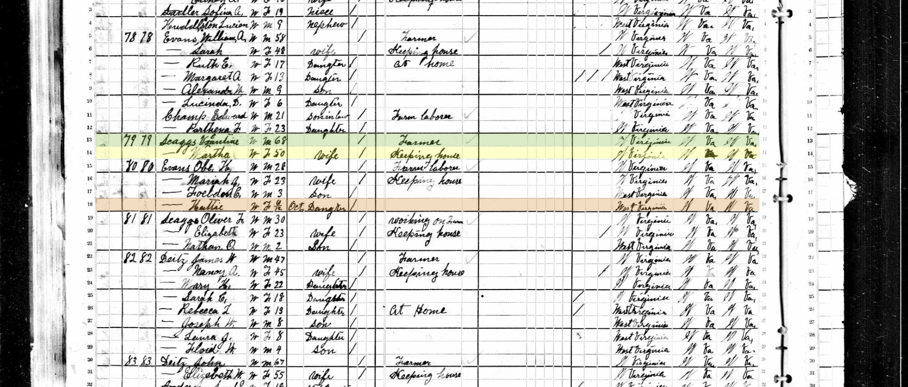 1880 United States Federal Census.png